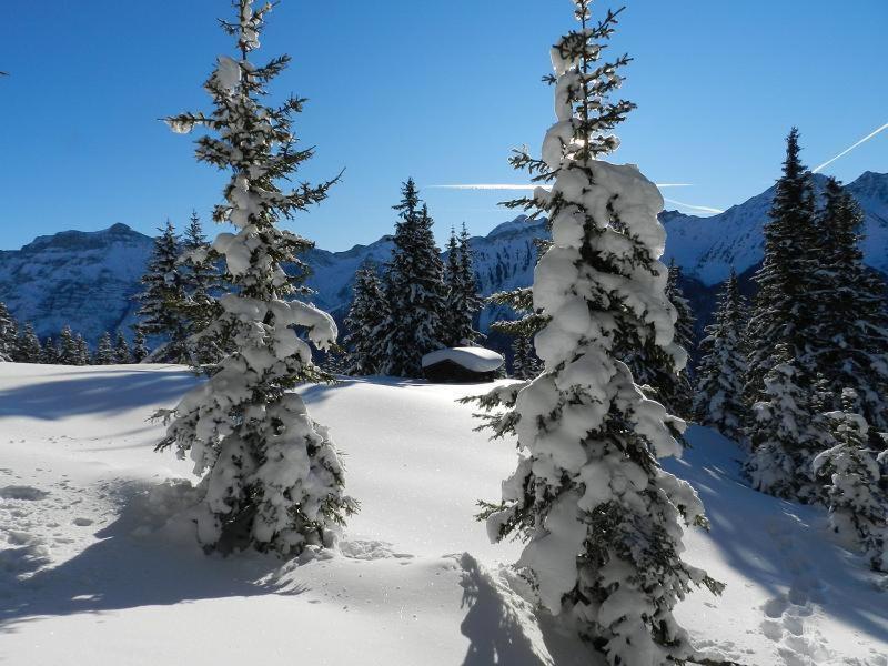 Apartment Peer Neustift im Stubaital Bagian luar foto