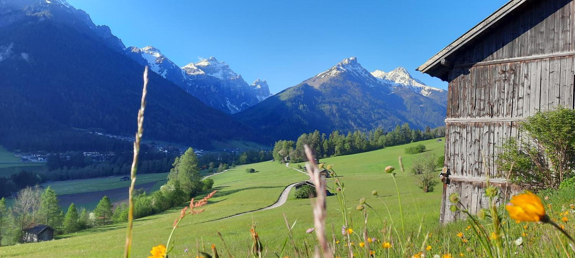 Apartment Peer Neustift im Stubaital Bagian luar foto