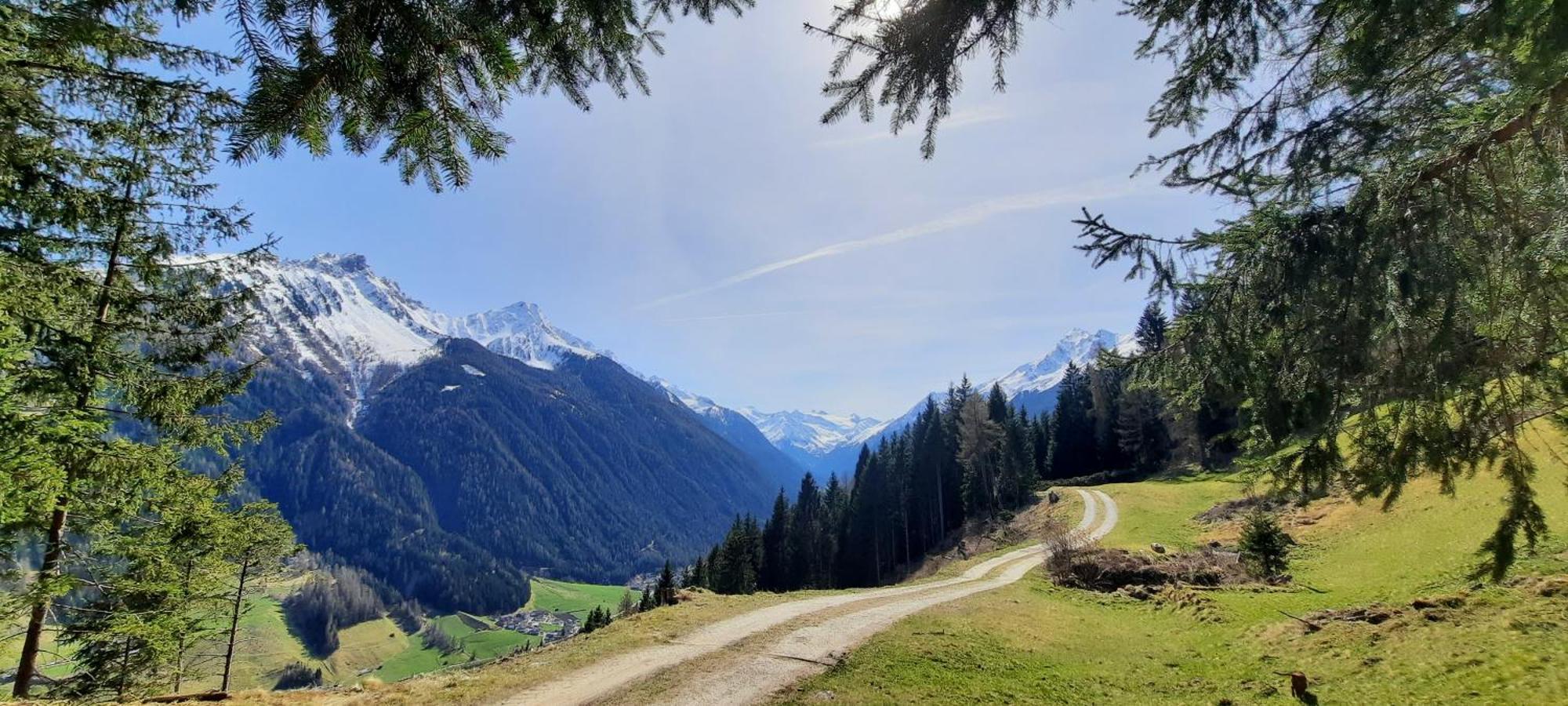 Apartment Peer Neustift im Stubaital Bagian luar foto